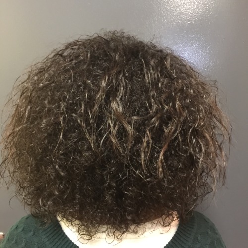 Client 1 before treatment: dry, frizzy corkscrew curls seen from the back
