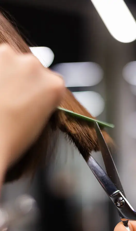 Stylist trimming a client's hair with scissors and a comb